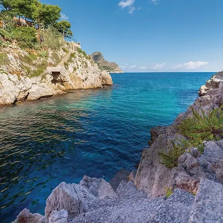 Kericia 포르티첼로