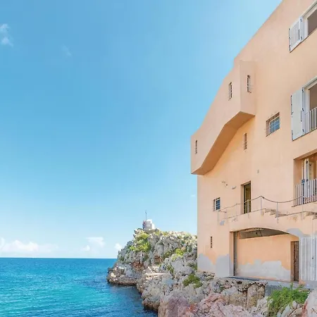 Kericia 포르티첼로