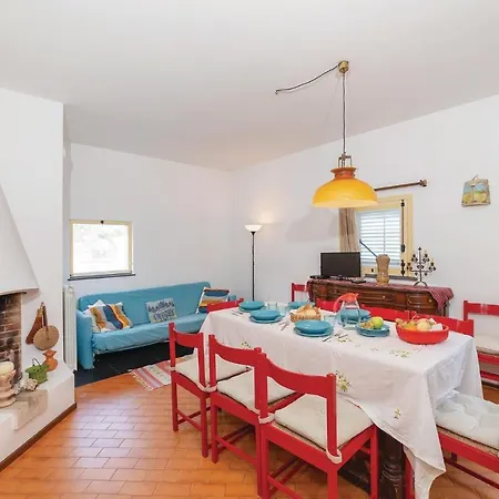 Kericia * 포르티첼로